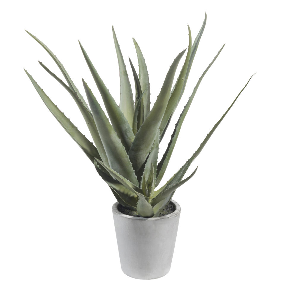 Aloe vera artificielle en pot H 36 cm