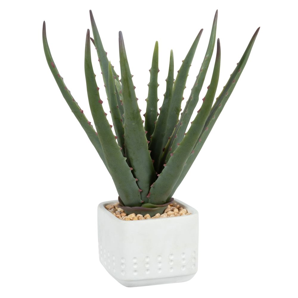 Aloe Vera artificielle pot en ciment blanc (photo) Aloe Vera artificielle pot en ciment blanc