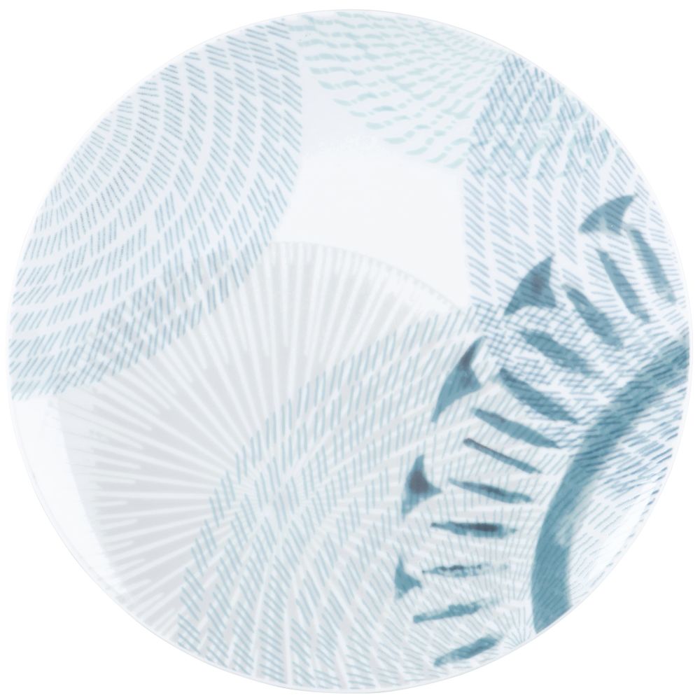 Assiette plate en porcelaine blanche motifs bleus