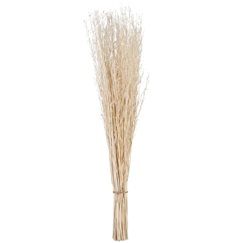 Bouquet d'éléments séchés beiges Bouquet d'éléments séchés beiges
