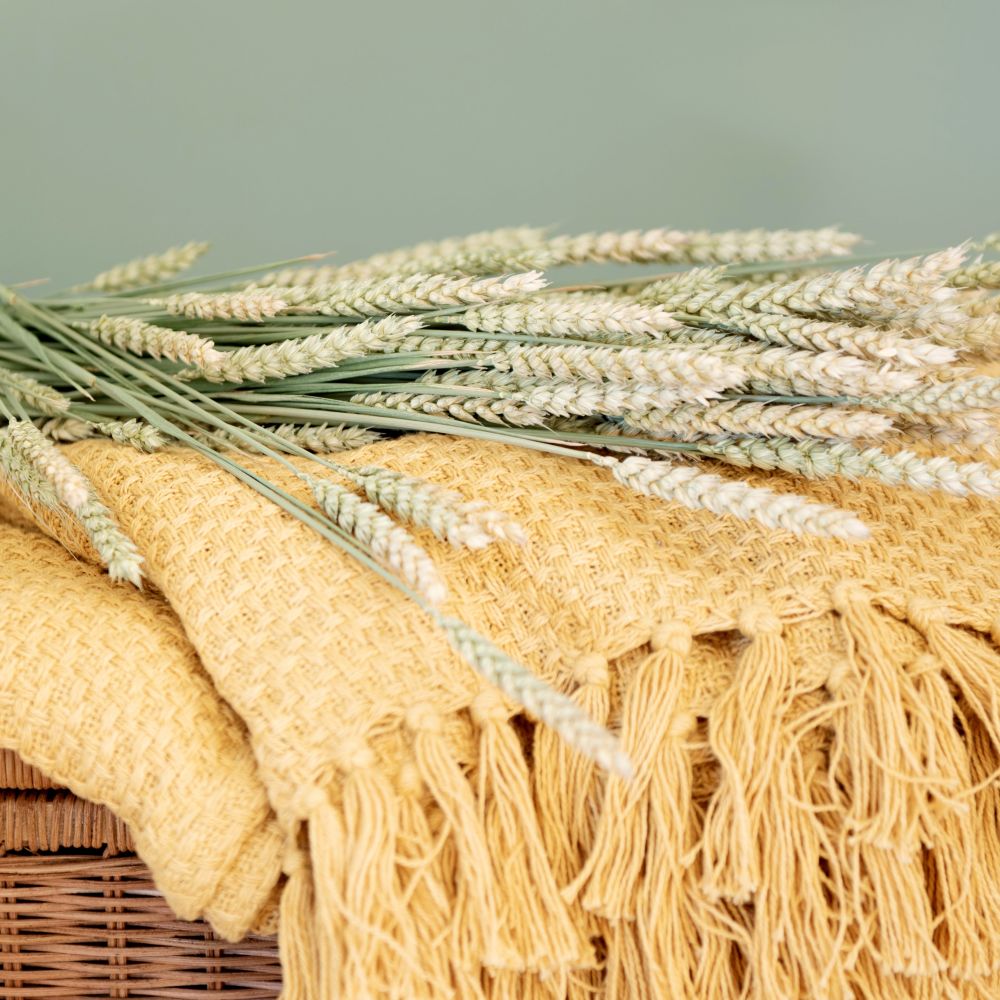 Bouquet de blé triticum séché (photo) Bouquet de blé triticum séché