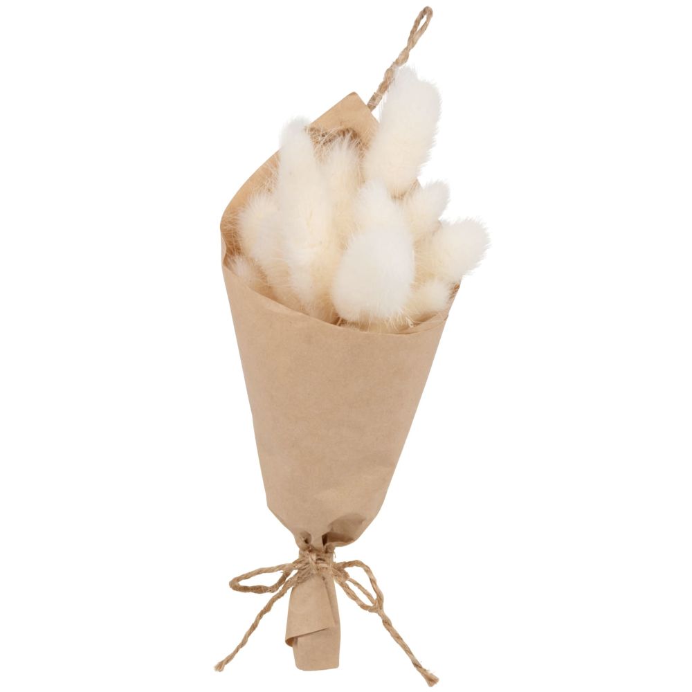 Bouquet de chatons beiges Bouquet de chatons beiges