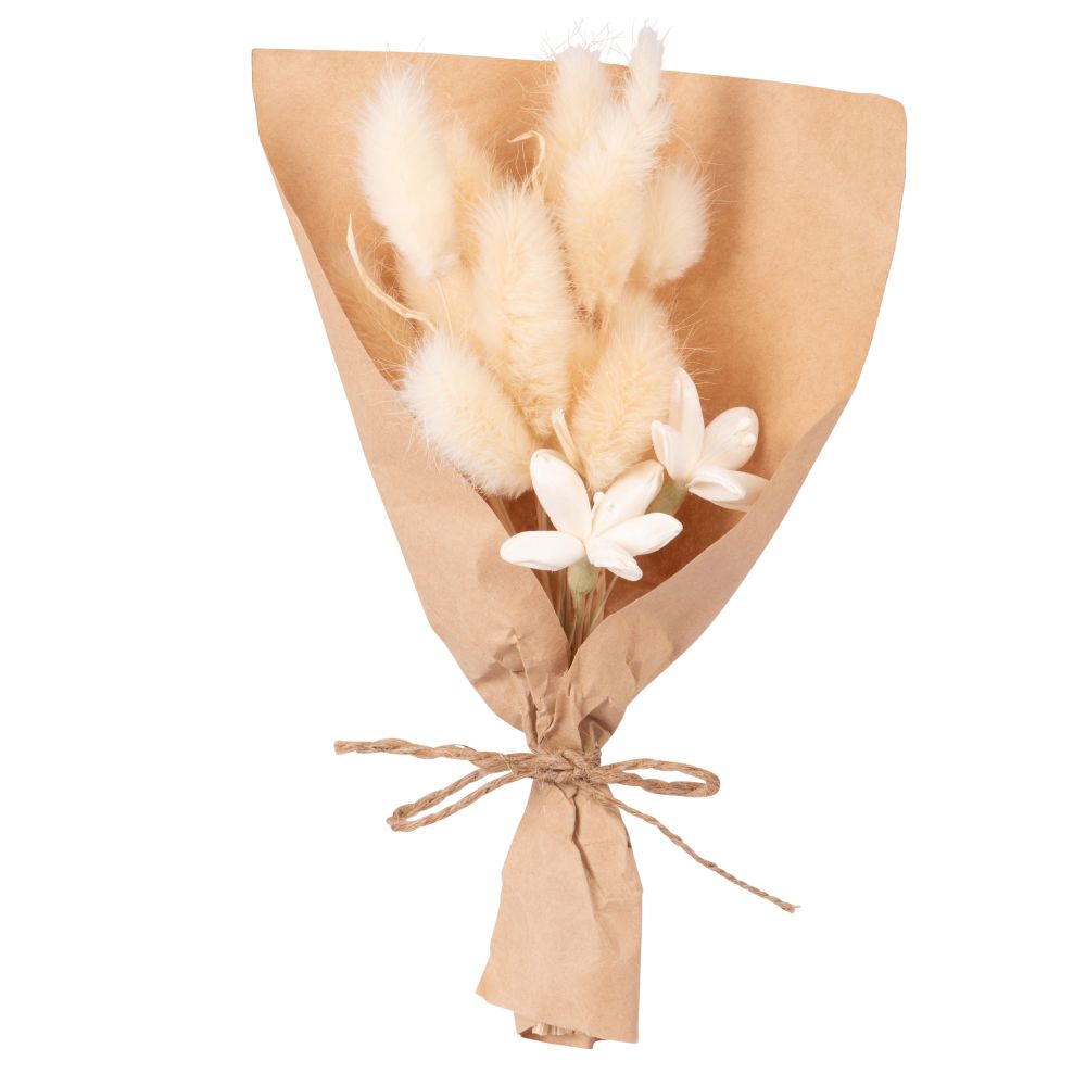 Bouquet de chatons séchés (photo) Bouquet de chatons séchés