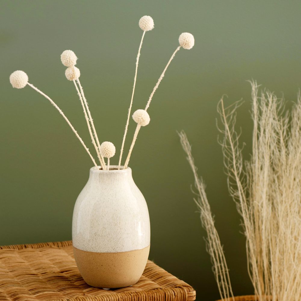 Bouquet de fleurs séchées boules blanches (photo) Bouquet de fleurs séchées boules blanches