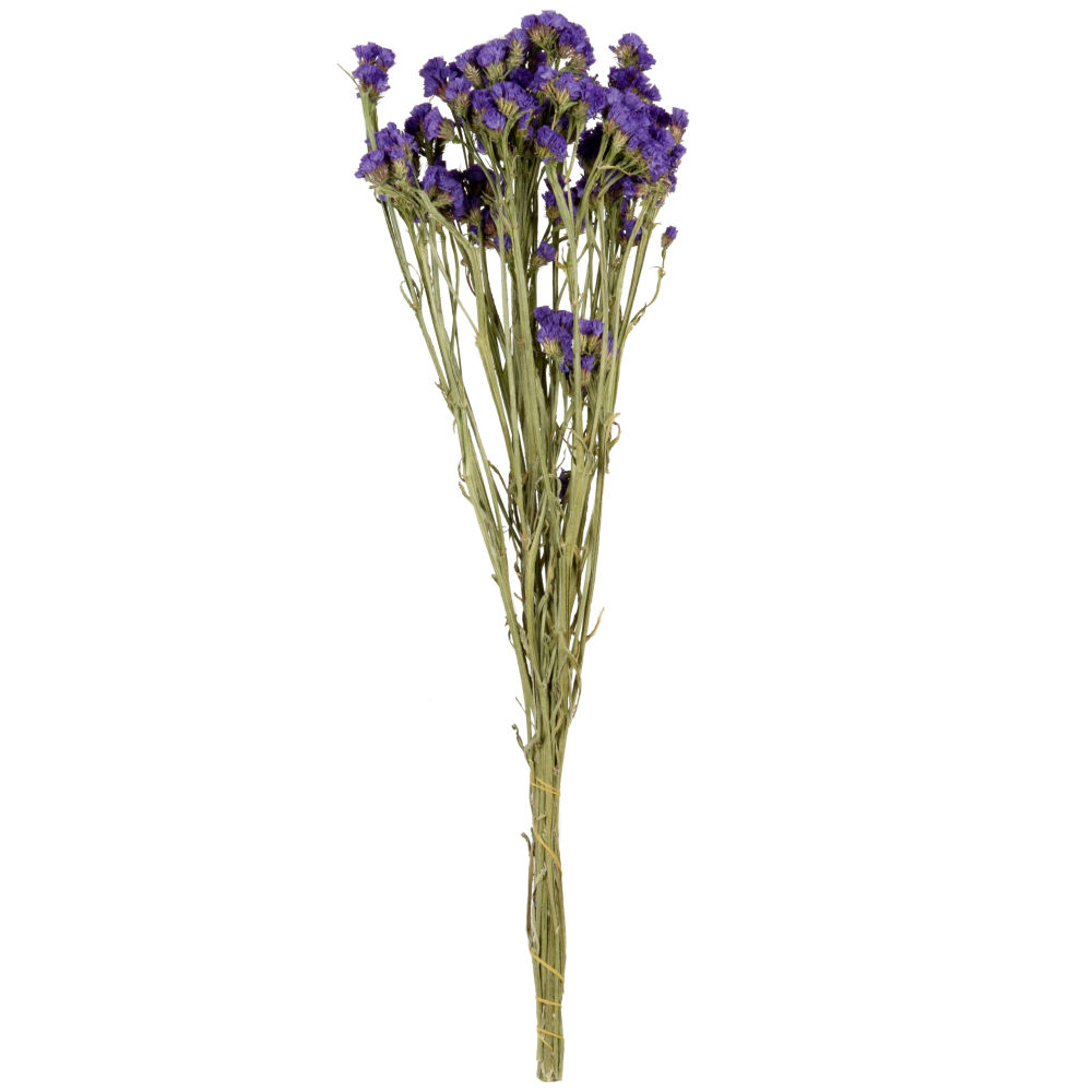 Bouquet de fleurs séchées violet Bouquet de fleurs séchées violet