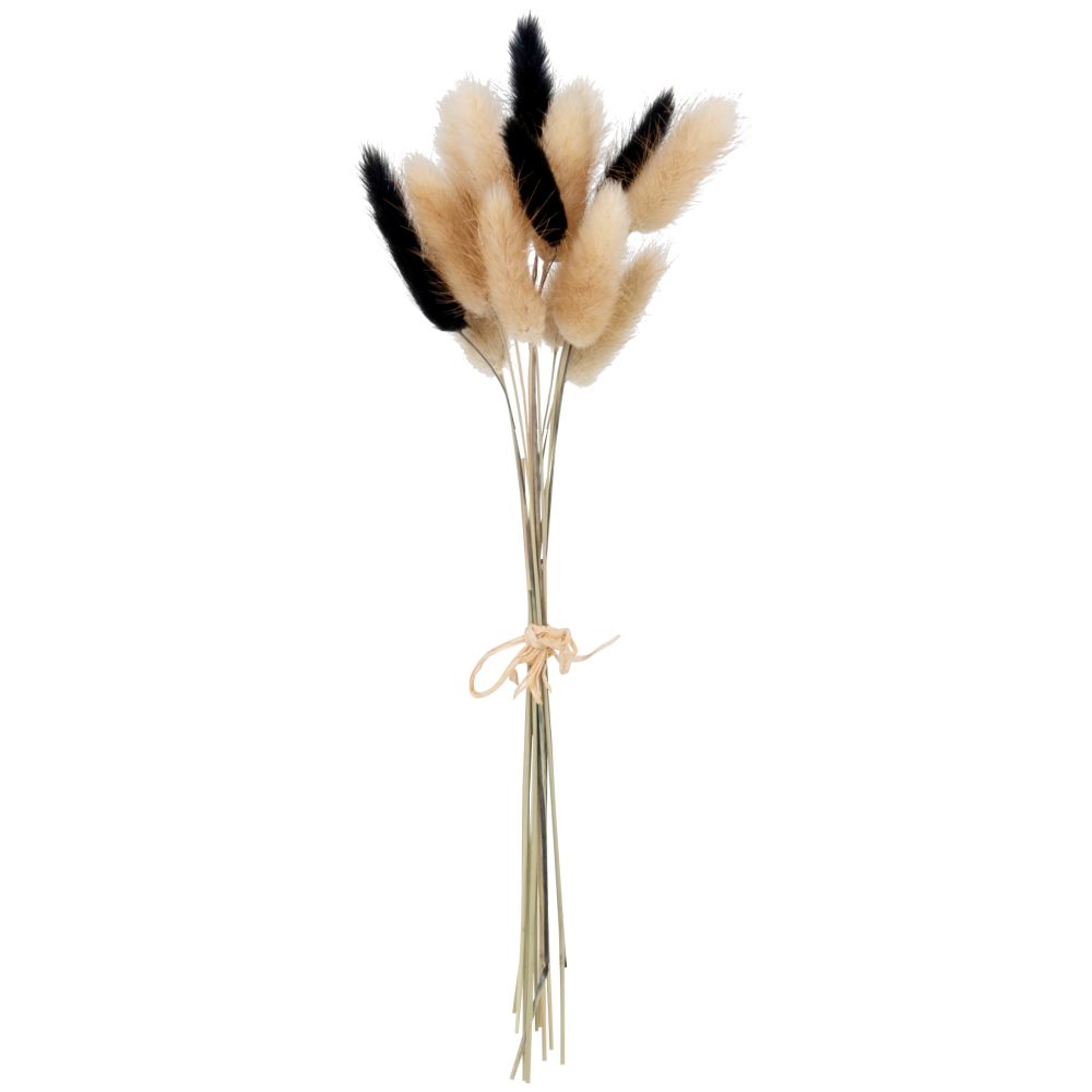 Bouquet fleurs séchées beiges et noires