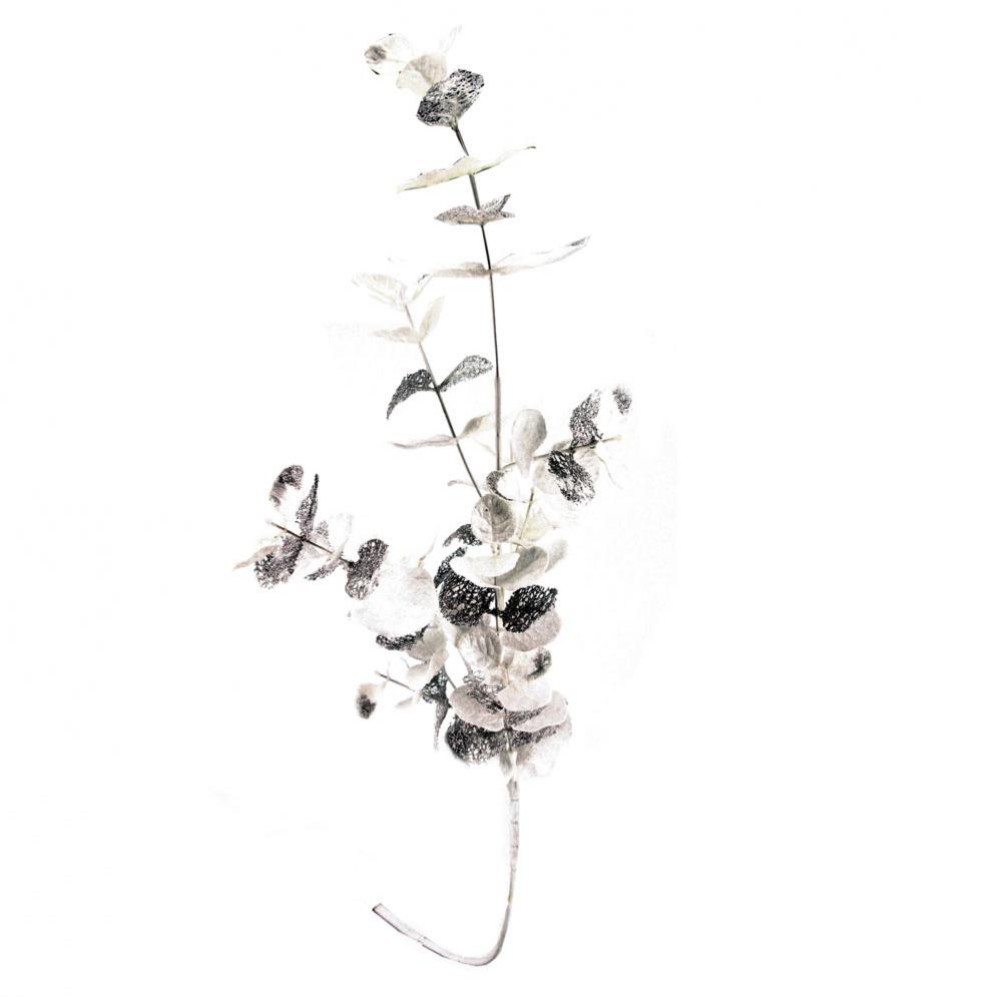 Branche artificielle eucalyptus blanc et argenté Branche artificielle eucalyptus blanc et argenté