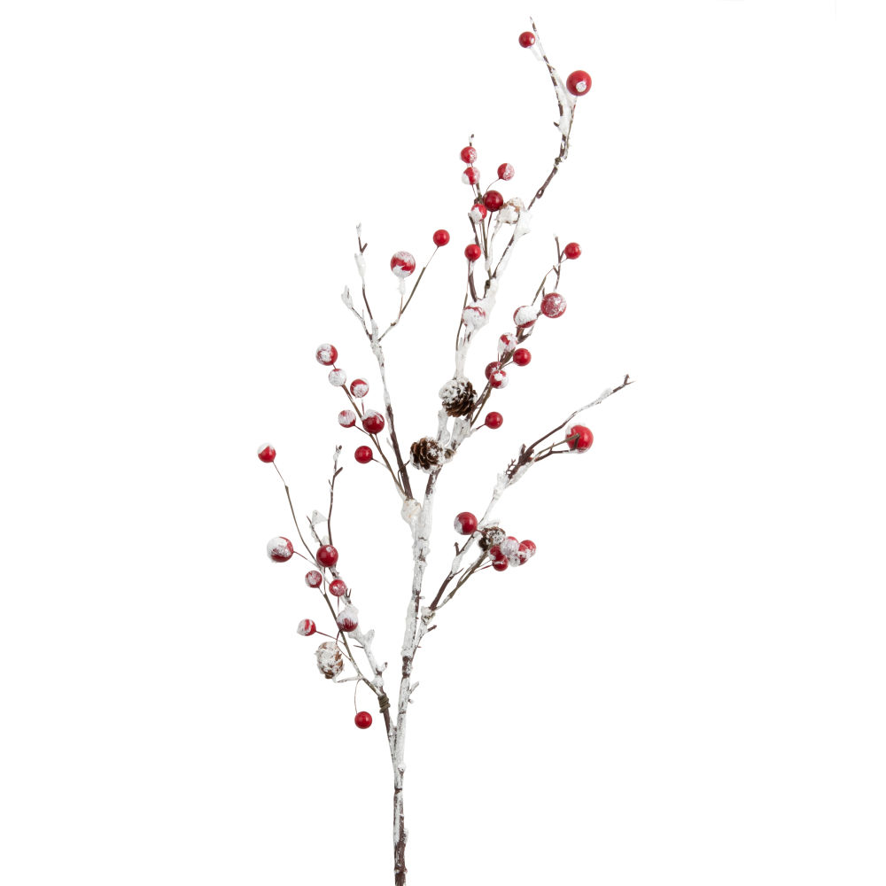 Branche de Noël feuilles enneigées et baies rouges Branche de Noël feuilles enneigées et baies rouges