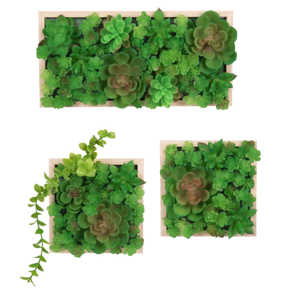Déco murales succulentes artificielles vertes (x3) 30x15
