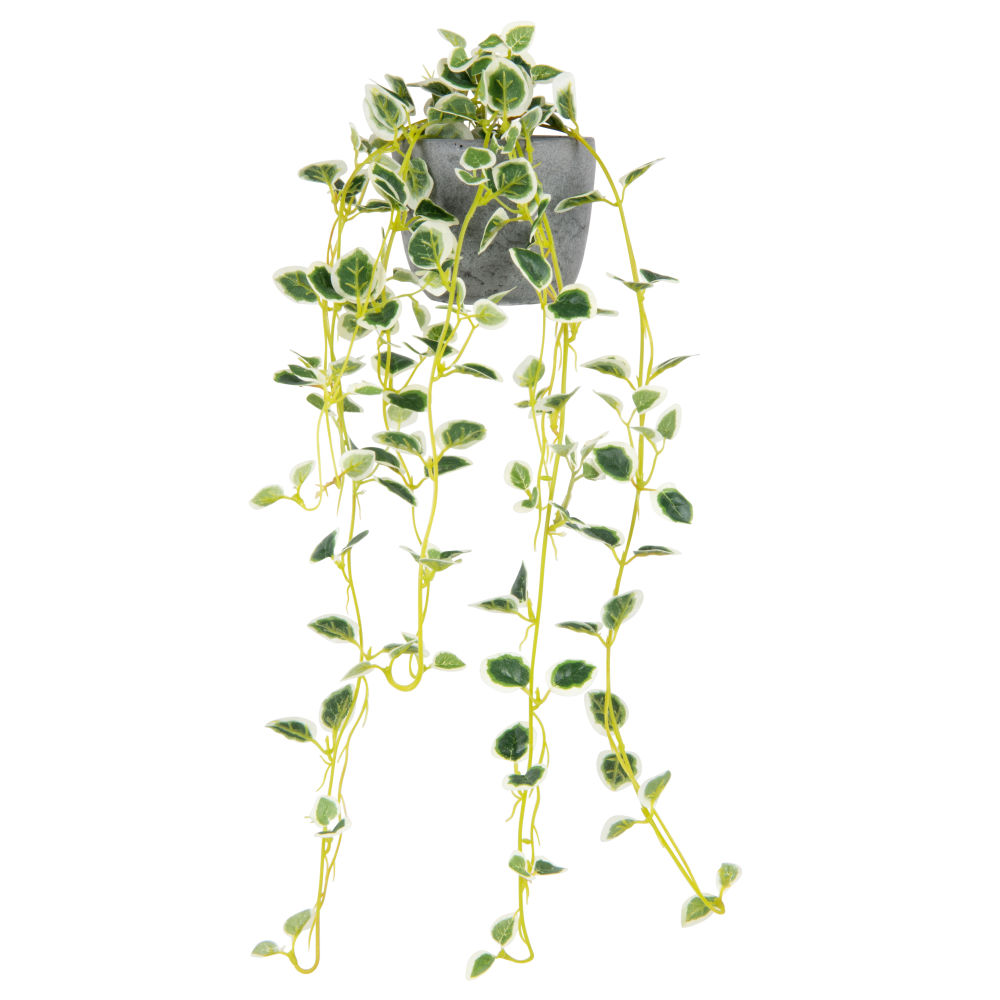 Dischidia artificiel pot en ciment (photo) Dischidia artificiel pot en ciment