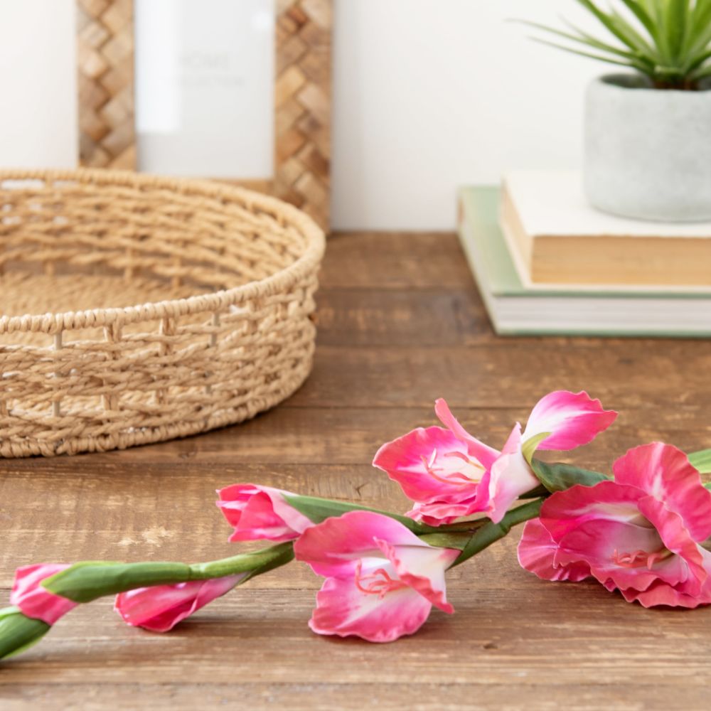 Glaieuls artificiels fuchsia