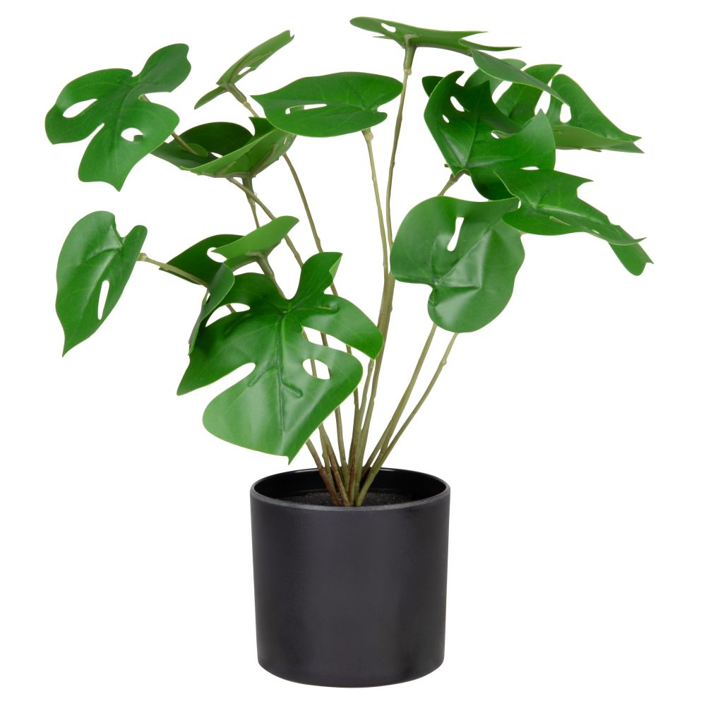 Monstera artificielle et pot noir Monstera artificielle et pot noir