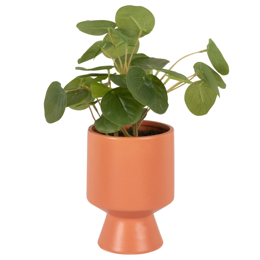 Piléa artificiel et pot en céramique terracotta Piléa artificiel et pot en céramique terracotta
