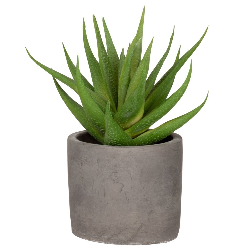 Plante artificielle et pot en ciment gris Plante artificielle et pot en ciment gris