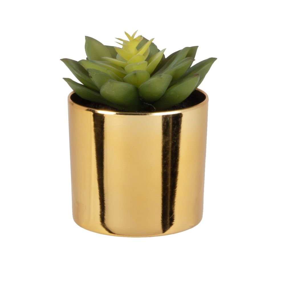 Plante artificielle succulente avec pot doré 6x11.5