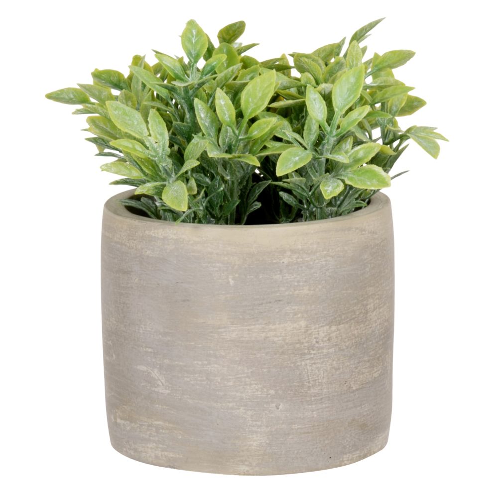 Plante artificielle succulente, avec pot en ciment gris H21 Plante artificielle succulente, avec pot en ciment gris H21