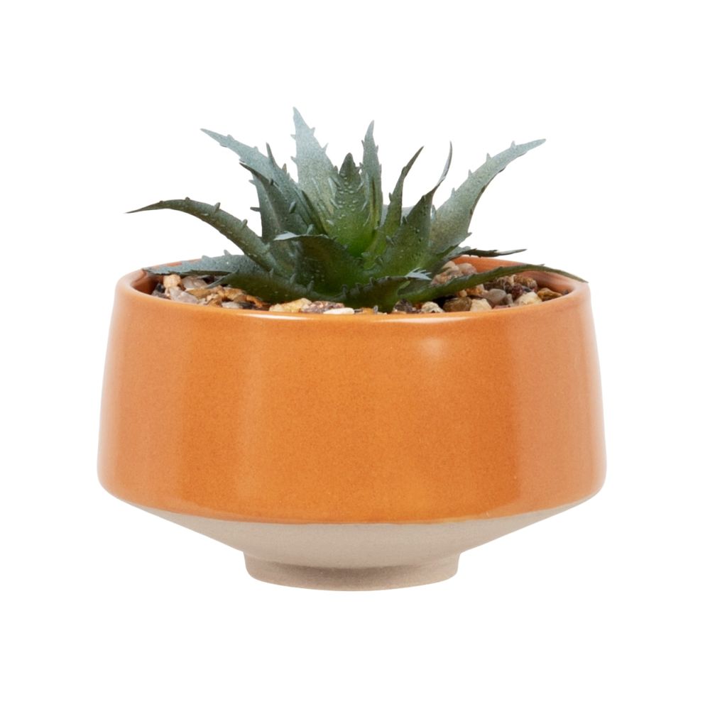 Plante artificielle succulente, avec pot terracotta H13
