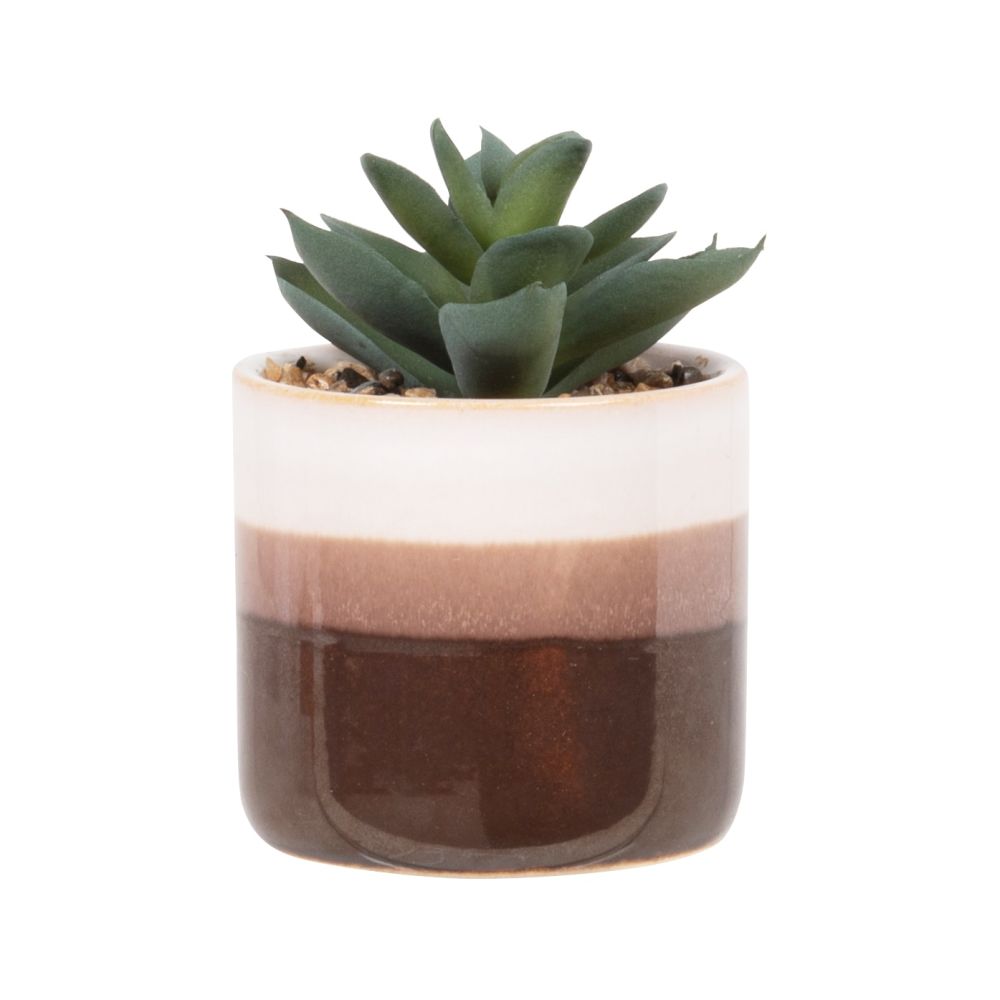 Plante artificielle succulente, avec pot tricolore H11 Plante artificielle succulente, avec pot tricolore H11