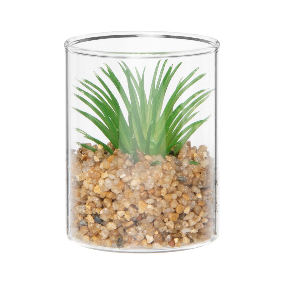 Plante grasse artificielle pot en verre (photo) Plante grasse artificielle pot en verre