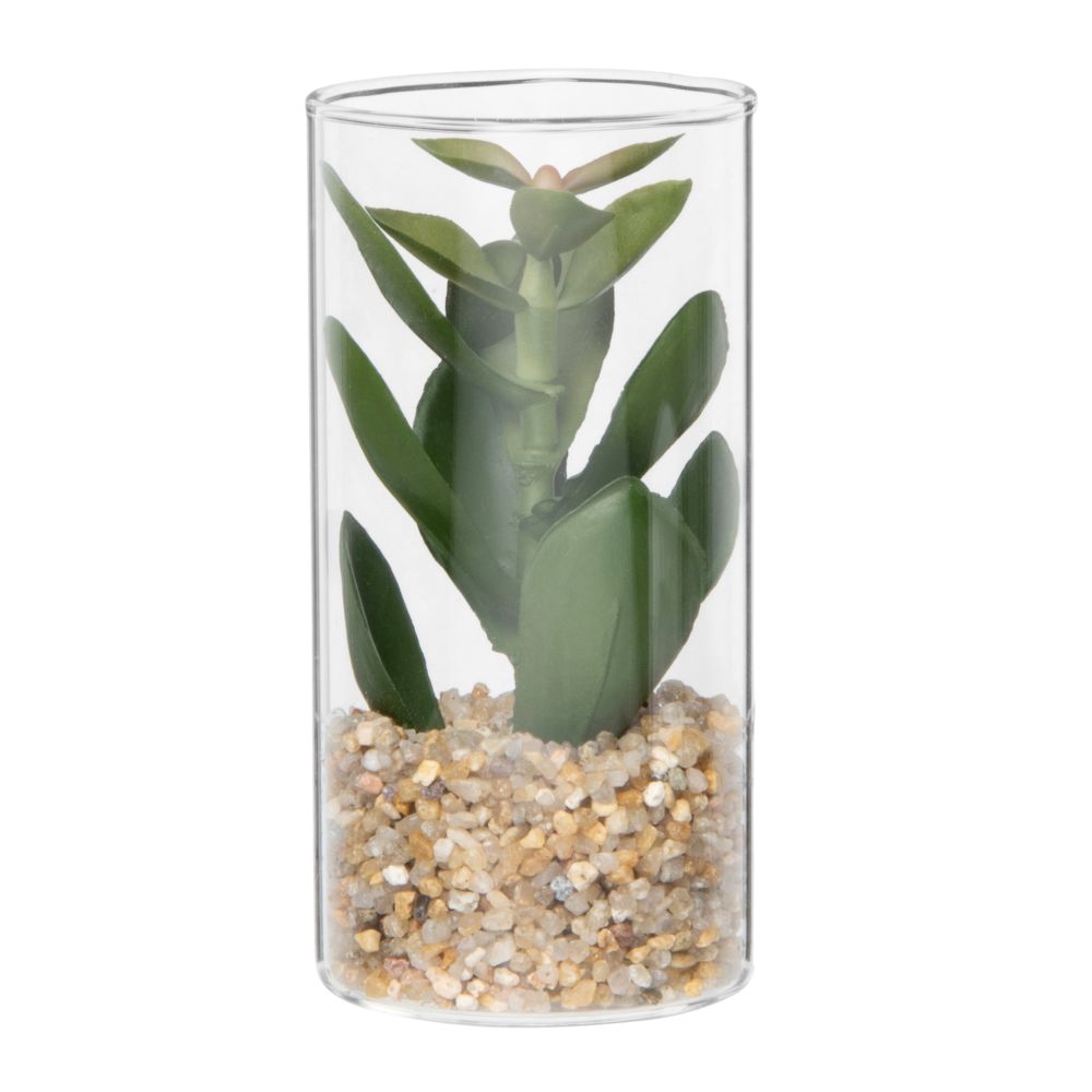 Plante grasse artificielle pot en verre haut (photo) Plante grasse artificielle pot en verre haut