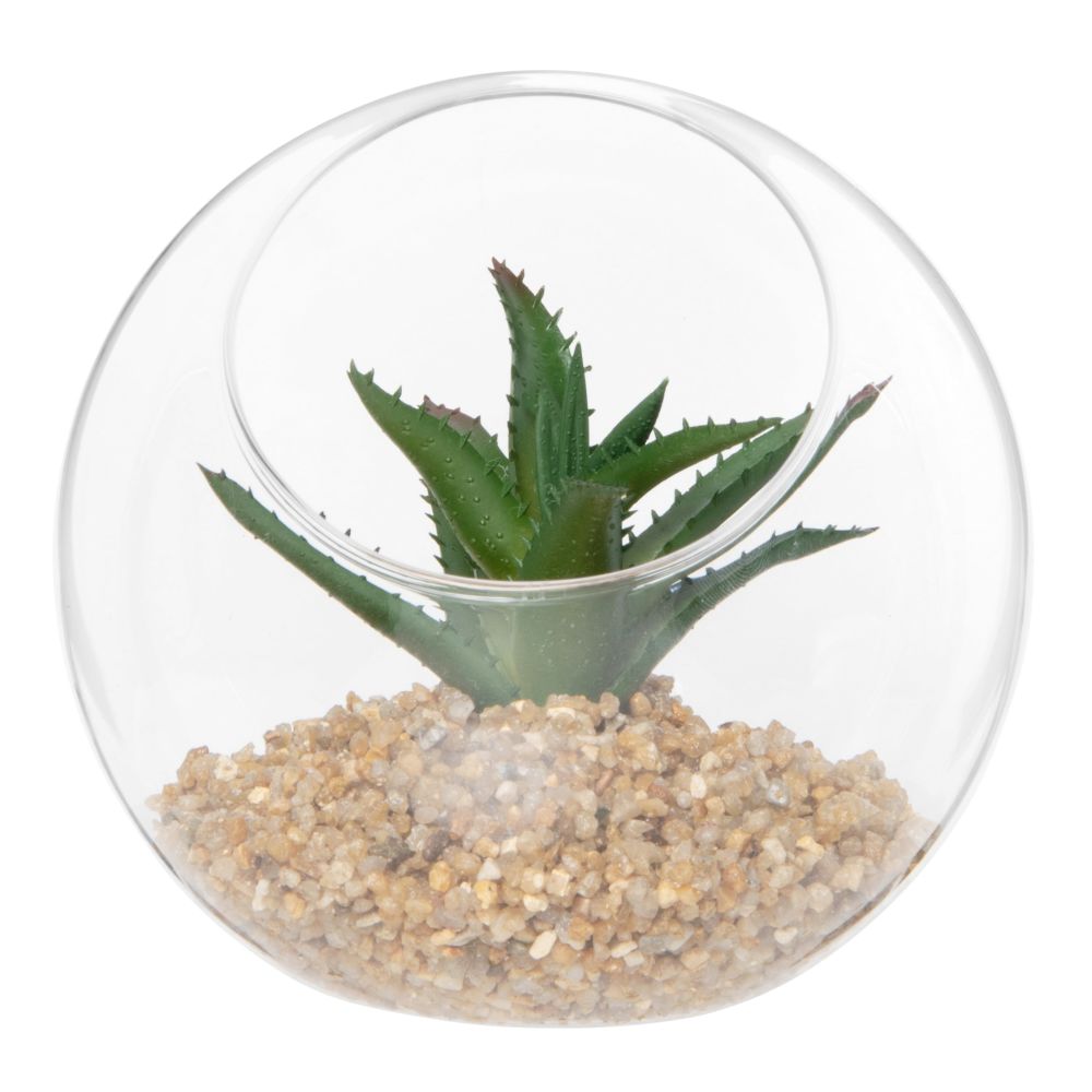 Plante grasse artificielle pot en verre rond (photo) Plante grasse artificielle pot en verre rond