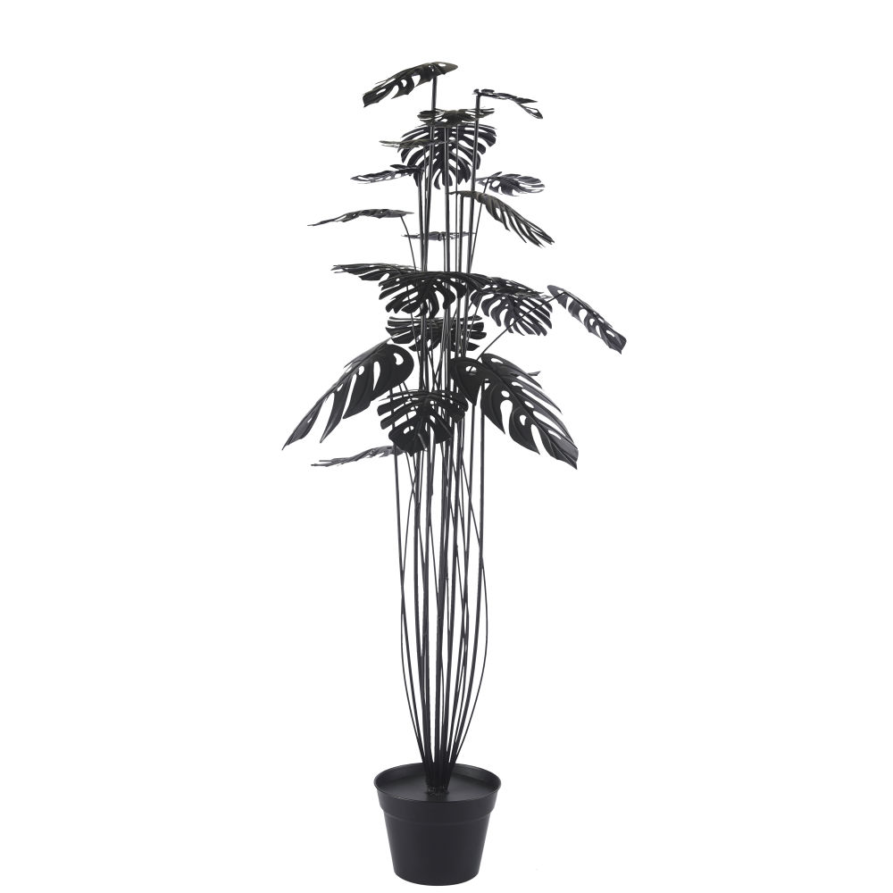Plante monstera en métal noir H152 (photo) Plante monstera en métal noir H152