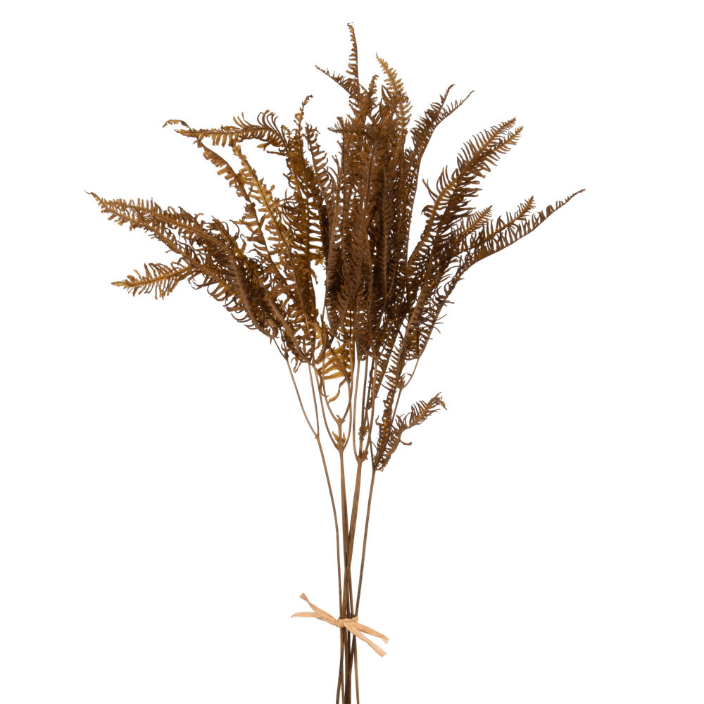 Plante séchée marron Plante séchée marron