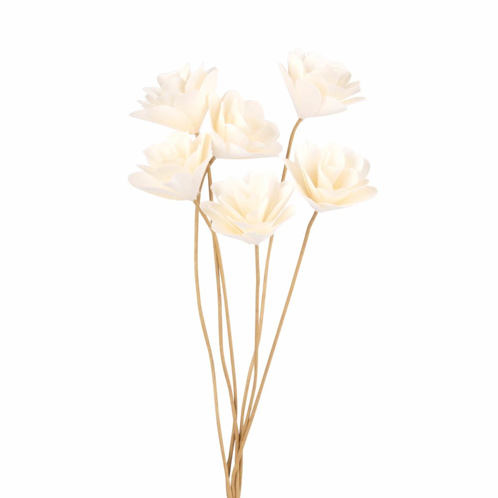 Roses blanches en papier (photo) Roses blanches en papier