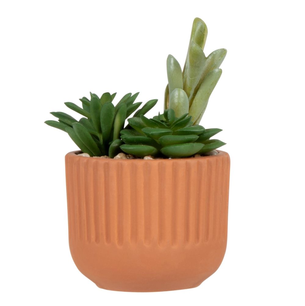 Succulente artificielle et pot en dolomite terracotta