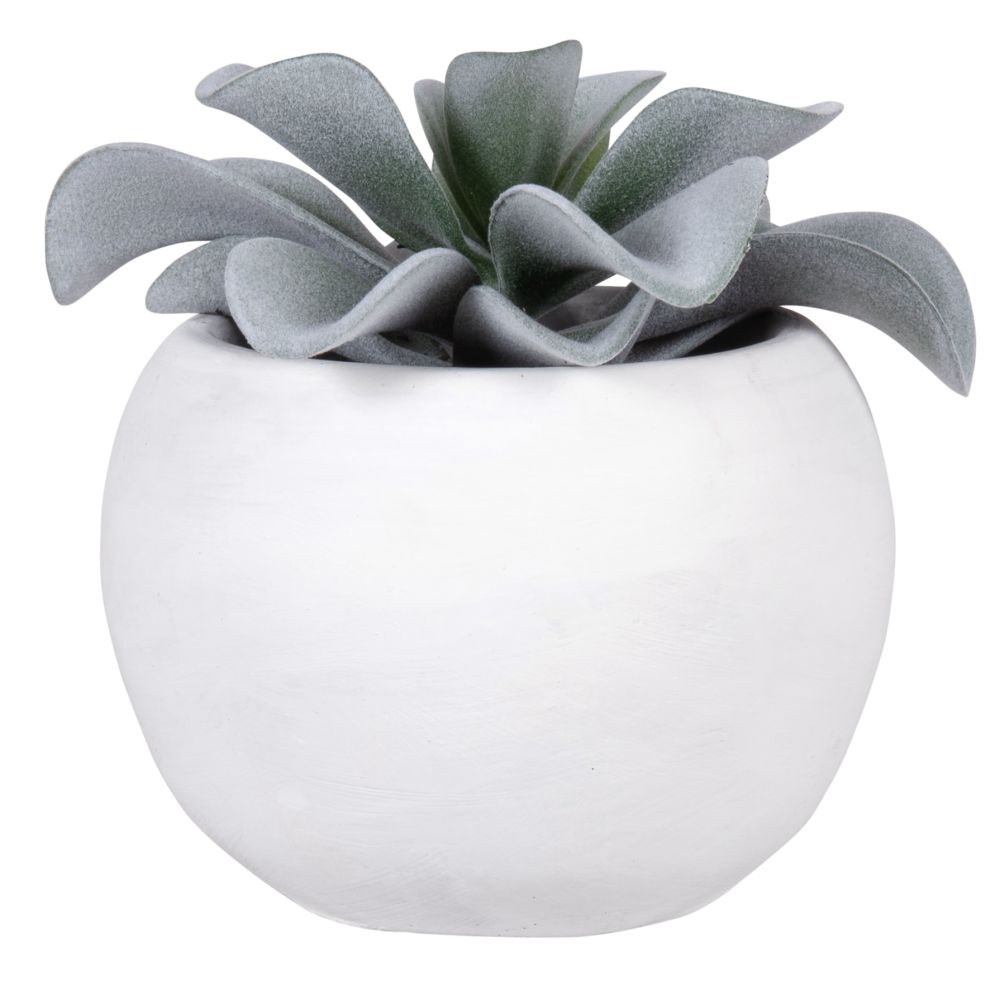 Succulente artificielle pot blanc (photo) Succulente artificielle pot blanc