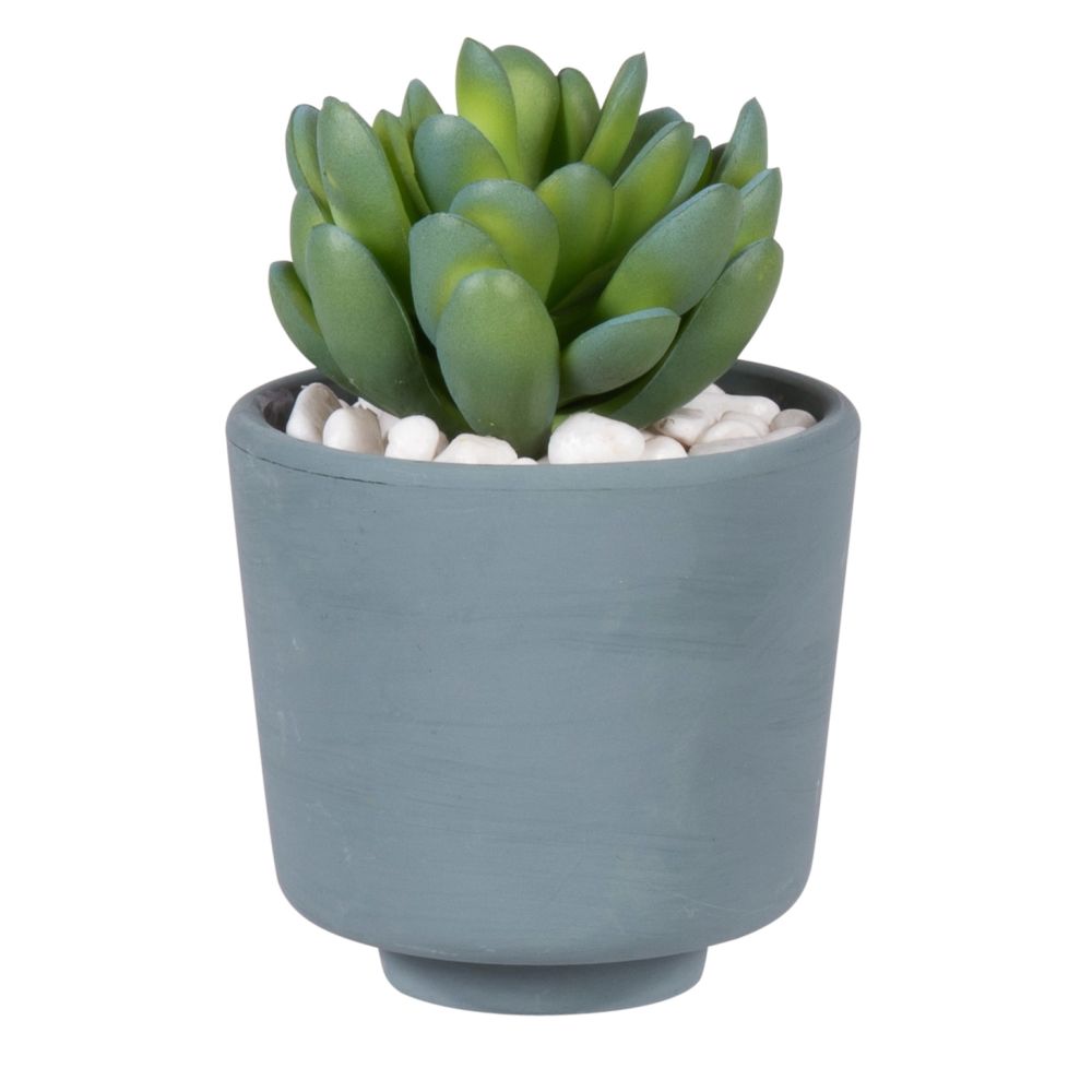 Succulente artificielle pot bleu (photo) Succulente artificielle pot bleu
