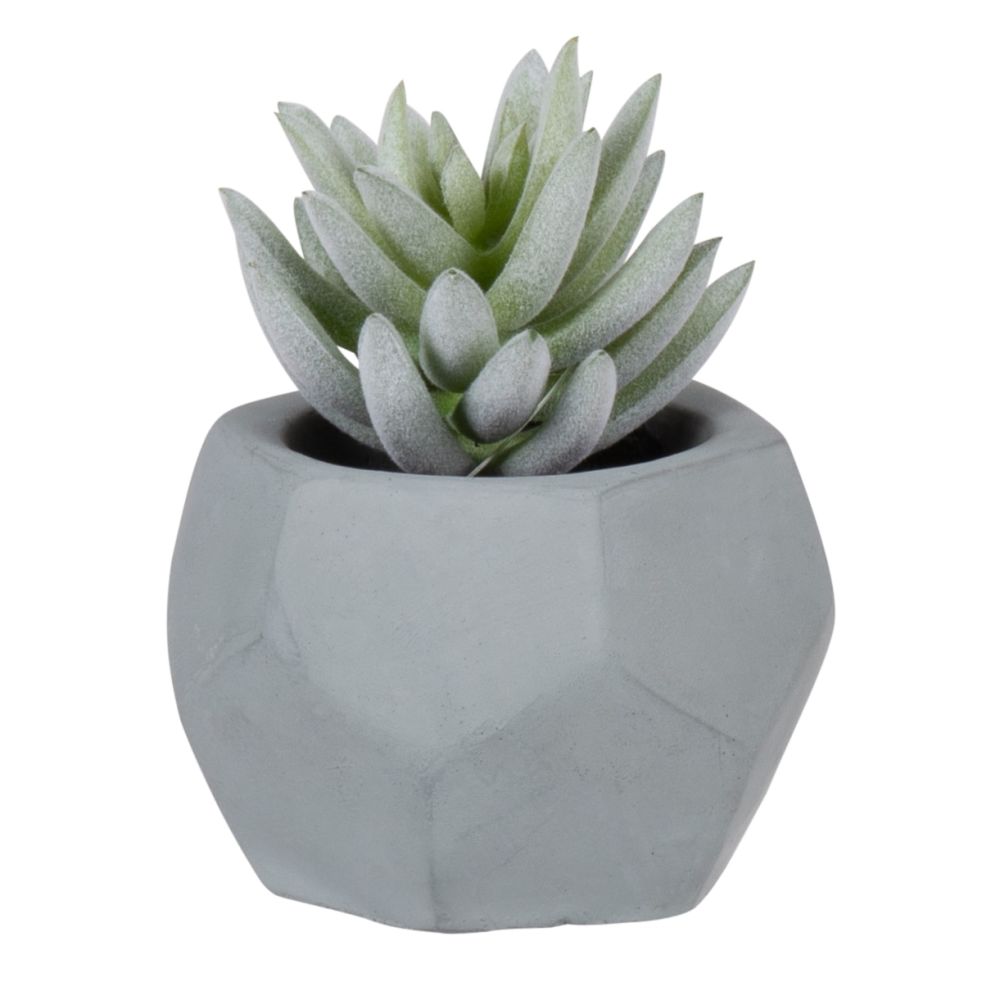 Succulente artificielle pot bleu (photo) Succulente artificielle pot bleu
