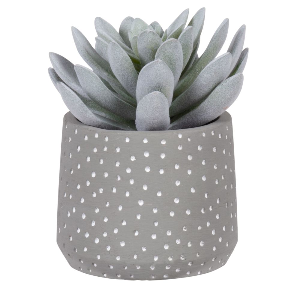 Succulente artificielle pot gris motifs à pois (photo) Succulente artificielle pot gris motifs à pois