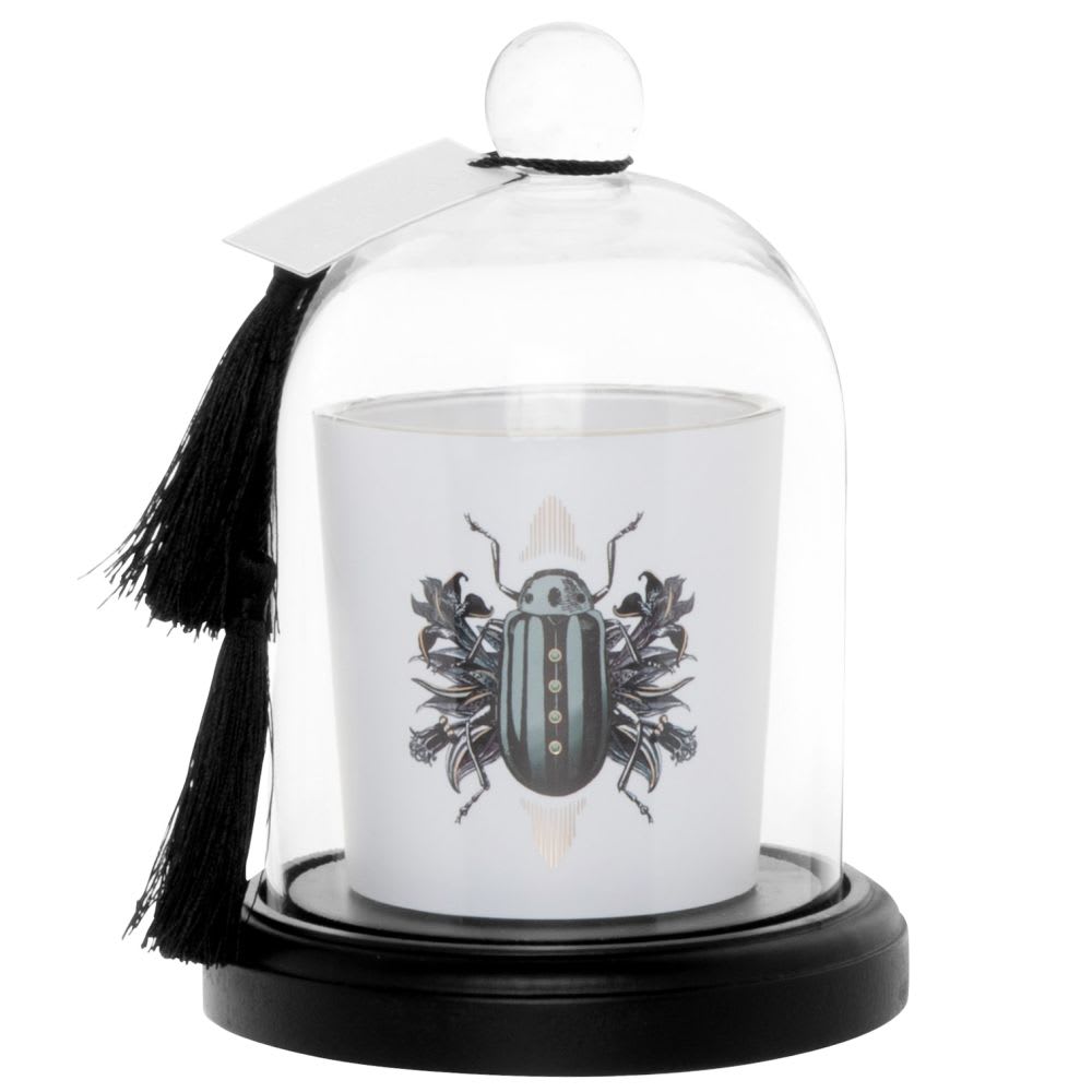 Confezione da 8 candele a colonna in set Smart-Planet® Candele Ambiente Ø 4,8 cm colore grigio chiaro 8 cm di altezza 