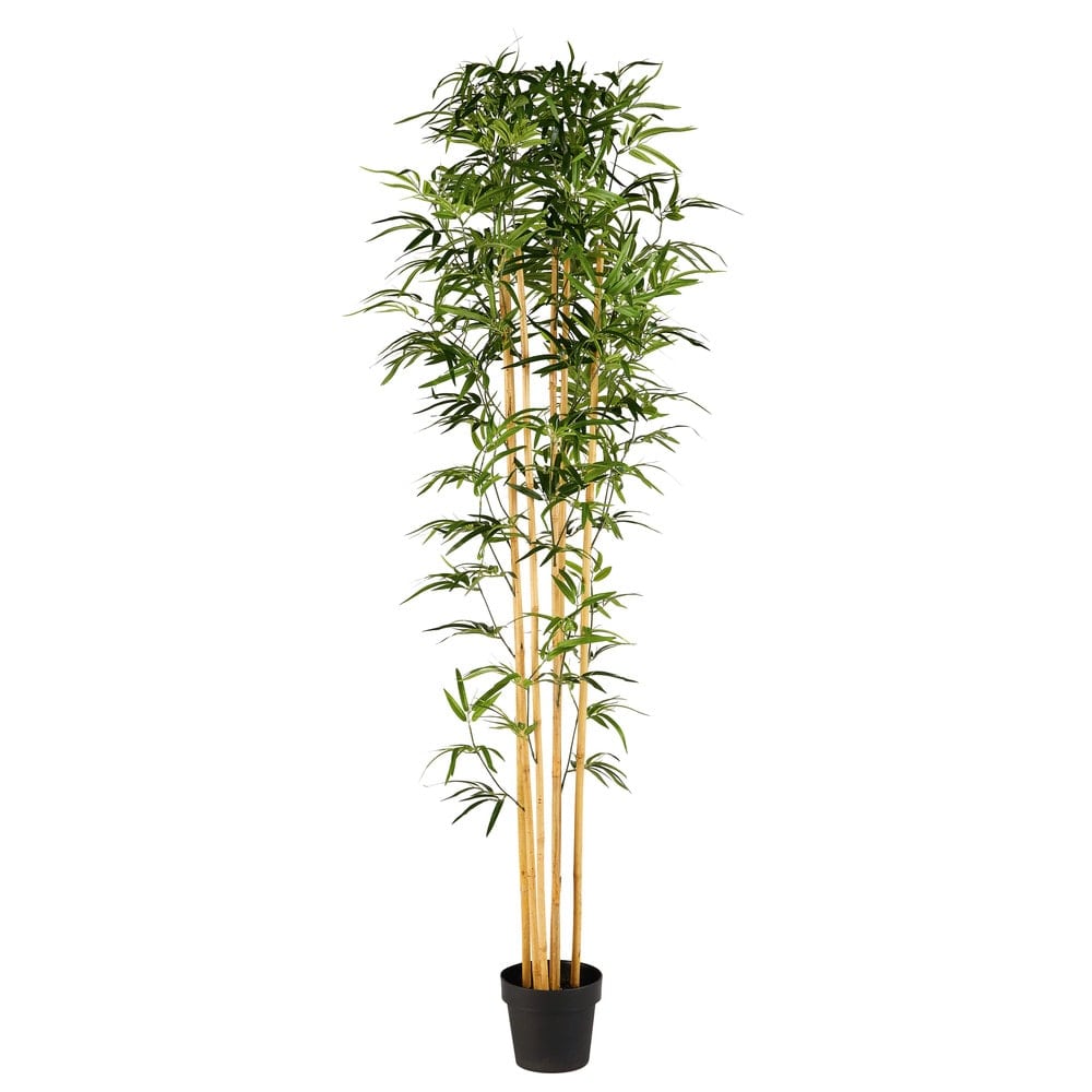 Outdoor Artificial Bamboo Plant in Pot Bayani | Maisons du ...