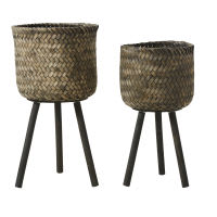 2 Black Pine and Bamboo Planters H66 2 Black Pine and Bamboo Planters H66