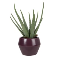 Aloe vera artificiale con vaso in gres nero