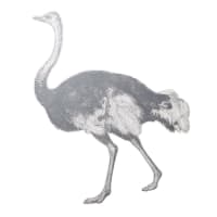 PAOLA - Autoadhesivo de pared con estampado de avestruz realizado en vinilo blanco y negro