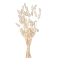 Boeket van gedroogde bloemen