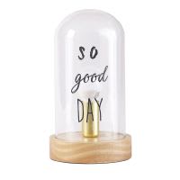 Bulb under Glass Bell Jar Bulb under Glass Bell Jar