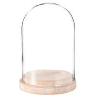 Cloche in vetro con base Cloche in vetro con base