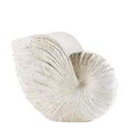 Cremefarbenes Fossil, L50 Cremefarbenes Fossil, L50