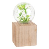 Déco lumineuse terrarium à LED Déco lumineuse terrarium à LED