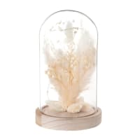 Decorazione luminosa in vetro e legno di pino marrone con fiori essiccati