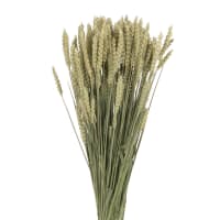 Dried wheat bouquet