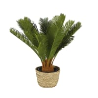ARALIA - Felce artificiale con vaso in fibra vegetale, 37 cm