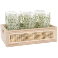 Glass mugs with plant print (x6) and rattan canework stand