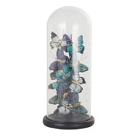 Glazen stolp met blauwe vlinders H40