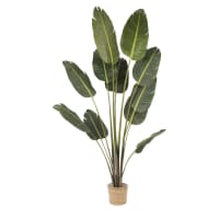 RAVINALA SAKA  - Künstliche Pflanze im Geflechtübertopf