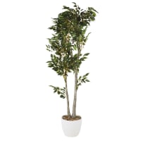 MARCUS - Künstlicher Ficus, weiß, braun und grün